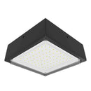 RAB VANLED75 LED Canopy 75W 5000K 9,344 Lumens